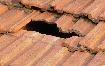 roof repair Royd Moor