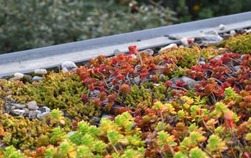 the cost of Royd Moor green roof installation