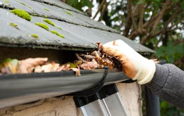 gutter cleaning Royd Moor