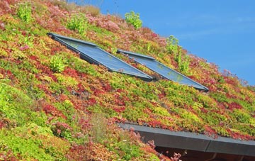 Royd Moor living roof systems